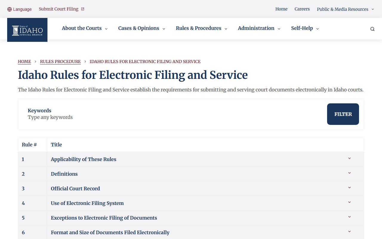 Lemhi County District Court electronic filing and record rules